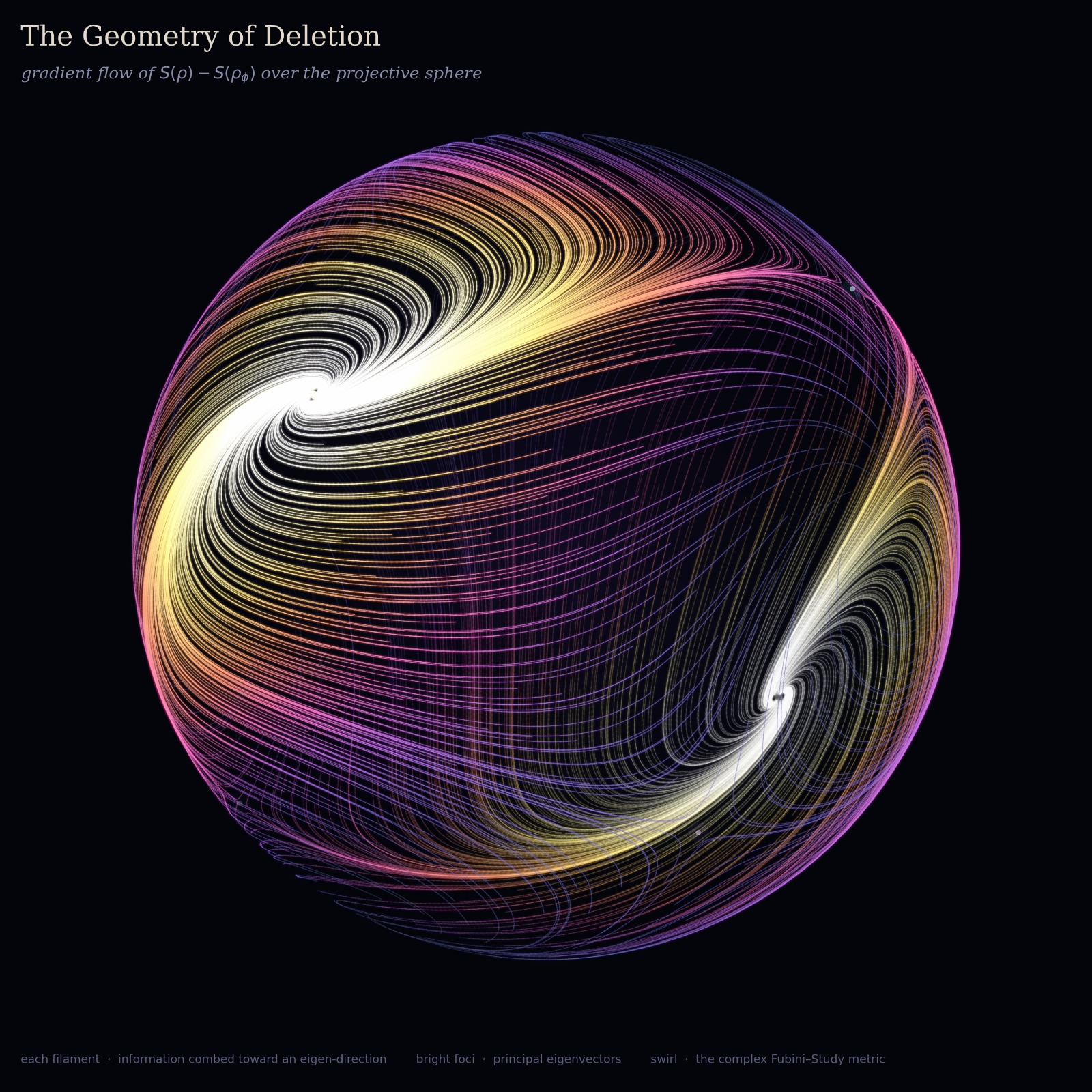 The Geometry of Deletion — gradient flow of the entropy-deletion landscape combed across the projective sphere